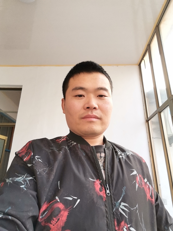 会飞的猪的第一张照片--淄博认干亲服务网